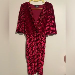 Lulu Red Velvet Dress